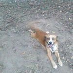 Stanley Cantrell - @stanley.cantrell.77 - Instagram