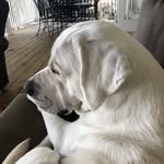 Stan Carpenter - @carpenter.stan - Instagram