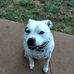 Stan Chappell - Facebook