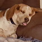 Stan Davis - @standavis31 - Instagram