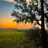 Stankey_baby - @your_fav_stankeybabies - TikTok
