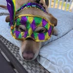 Stan Long - @longfish5 - Instagram