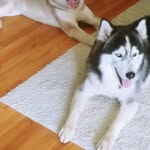 Stan Long - @stan2882 - Instagram