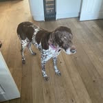 Stan - @stanlong_2_ - Instagram