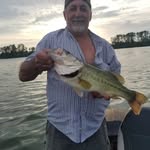 Stanley Bearden - @stanley.bearden - Instagram