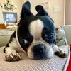 _stanley_ - @stanley_the_boston - TikTok