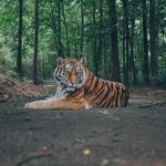 Stanley Bragg - @creative_illusions - Instagram