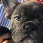 @stanley_brewster - Instagram