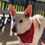 Stanley Brock - @stanley.brock.51 - Instagram
