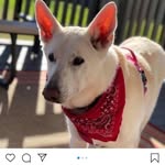 Stanley Brock - @stanleybrock398 - Instagram