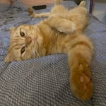burton.stanley - @burton.stanley - Instagram