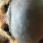 Stanley Burton - @sinkystan - Instagram