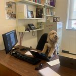 Stanley Burton - @sir_stanley_burton - Instagram