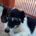Stanley Butcher - Facebook