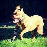 Stanley Butkus - @stanley_butkus - Instagram