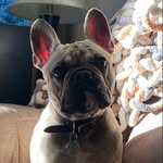 Kayla Preston Stanley Carlson - @ifyouseekay11 - Instagram
