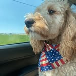 Stanley Carlson - @stan_the_gem - Instagram