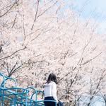 Stanley Carlson - @8lfv9meg1ftct - Instagram