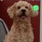 Stanley Castaneda - Facebook