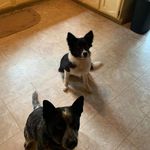 Stanley Coffey Jr - @stanleycoffeyjr - Instagram