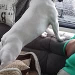 Stanley Colley - @stanleycolley - Instagram