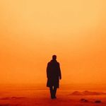 Stanley Connor - @stanley_connorphotography - Instagram
