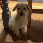 Stanley Connors - @stanley_connors - Instagram