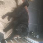 Stan The Man - @stanley_cotton111 - Instagram
