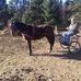 Stanley Covell - Facebook