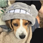 Stanley Dangerfield - @stanley_dangerfield - Instagram