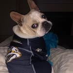 Stanley Cup Decker - @stanleycupdecker - Instagram