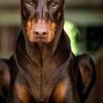 Stanley Delva - @stanley.delva.1441 - Instagram