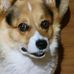 Stanley Dooley - Facebook