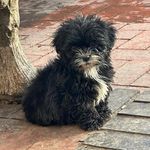 Stanley Downing - @stanleydowning2023 - Instagram
