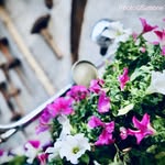 Stanley Durham - @stanleydurham452 - Instagram