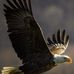 Stanley Durham - Facebook