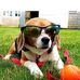 Stanley Eisen - Facebook