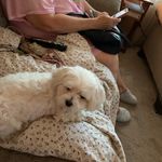 Ferrell Stanley - @ferrellstanley2 - Instagram
