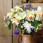 Gill Badger - @stanleyhillflowers - Instagram
