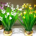 Stanley flowers Abuja - @stanleyflowersabuja - Instagram