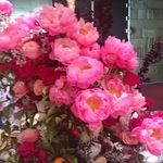 Wedding Flowers Stanley - @weddingflowersstanley - Instagram
