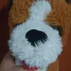 StanleyFox - @ethylapn0kh - TikTok