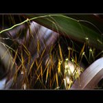 Stanley Gibbs - @stanleygibbs - Instagram