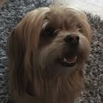 Stan - @stanleygoode6 - Instagram