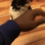 Stanley Goodwin - @nawlinsgoody - Instagram