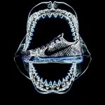 Stanley Grant - @ag3beast1717 - Instagram