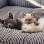 Stanley Grey Olney & Reginald Aruba Olney - @stan_and_reggie_do_insta - Instagram