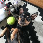 Stanley - @stanley_handsome_man - Instagram