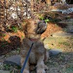 Stanley Handley - @stanley_handley - Instagram