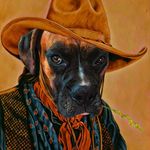Stanley The Handsome - @stanley_the_handsome - Instagram